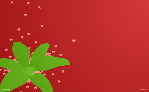 重庆江北摩托车驾校，重庆江北哪能考摩托车驾照需要多少钱 联系电话