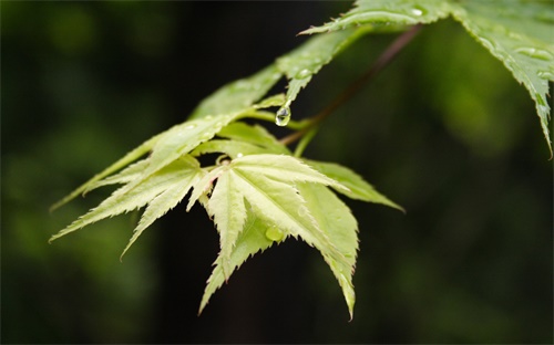 学车网上报名与线下有什么区别，考驾照网上跟实地报名什么区别吗